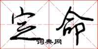 曾庆福定命行书怎么写