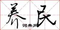 曾庆福养民行书怎么写