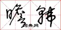 王冬龄瞻韩草书怎么写