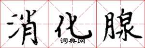 周炳元消化腺楷书怎么写