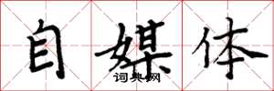 周炳元自媒体楷书怎么写