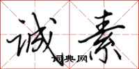 田英章诚素行书怎么写