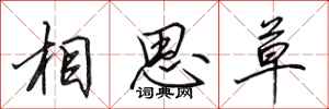 田英章相思草行书怎么写