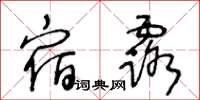 王冬龄宿露草书怎么写