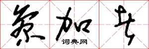 刘少英参加者草书怎么写