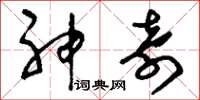 刘少英神奇草书怎么写