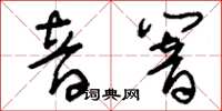 刘少英音响草书怎么写