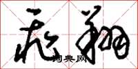 刘少英飞翔草书怎么写