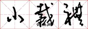 刘少英小戴礼草书怎么写