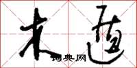 刘少英木遁草书怎么写
