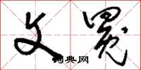 刘少英文冕草书怎么写