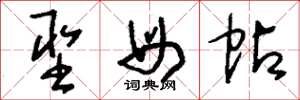 刘少英圣母帖草书怎么写