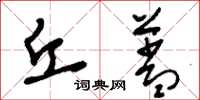 刘少英丘盖草书怎么写