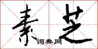 钱沛云素芝行书怎么写