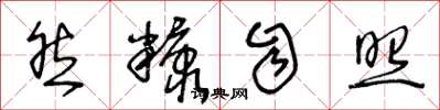 王冬龄然糠自照草书怎么写