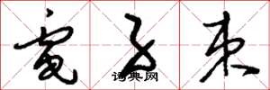 刘少英电子束草书怎么写