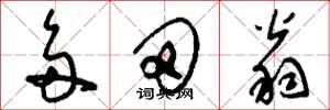 刘少英多田翁草书怎么写