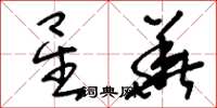 刘少英星华草书怎么写