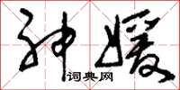 刘少英神媛草书怎么写