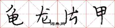 段相林龟龙片甲行书怎么写