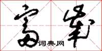 刘少英富岁草书怎么写