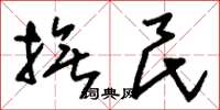 刘少英抚民草书怎么写