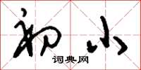 刘少英初小草书怎么写