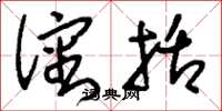 刘少英沈括草书怎么写