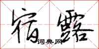 段相林宿露行书怎么写