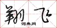 段相林翔飞行书怎么写