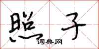段相林照子行书怎么写