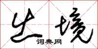 朱锡荣出境草书怎么写