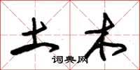 朱锡荣土木草书怎么写