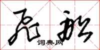 朱锡荣飞船草书怎么写