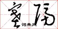 刘少英塞隔草书怎么写