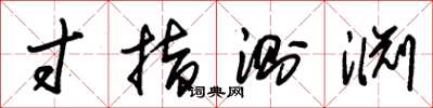 朱锡荣寸指测渊草书怎么写