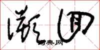 刘少英溯回草书怎么写