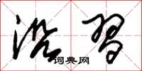 朱锡荣沿习草书怎么写