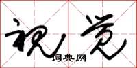 朱锡荣视觉草书怎么写