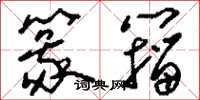 刘少英篆籀草书怎么写