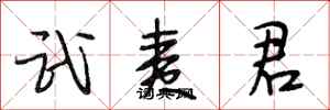 段相林武夷君行书怎么写