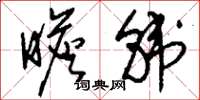 刘少英瞻韩草书怎么写