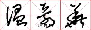 刘少英温哥华草书怎么写