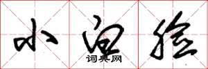 朱锡荣小白脸草书怎么写