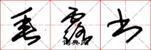 朱锡荣垂露书草书怎么写