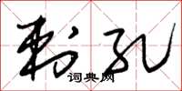 朱锡荣刺孔草书怎么写