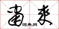 朱锡荣肃爽草书怎么写