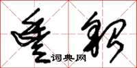 朱锡荣丰貂草书怎么写