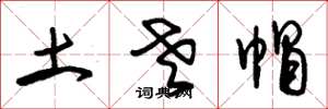 朱锡荣土老帽草书怎么写