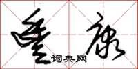 朱锡荣丰康草书怎么写